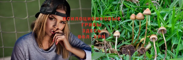 кокаин Каменногорск